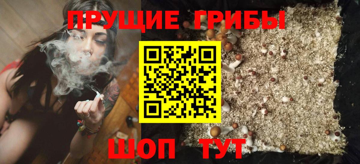 Псилоцибиновые грибы GOLDEN TEACHER Карасук